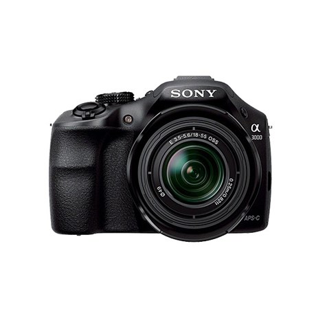 sony1.jpg